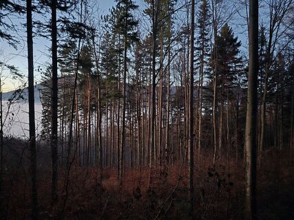 Fotografia z TwilightTea na trase