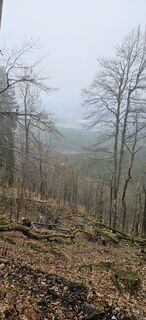 Photo de Markus le long du parcours