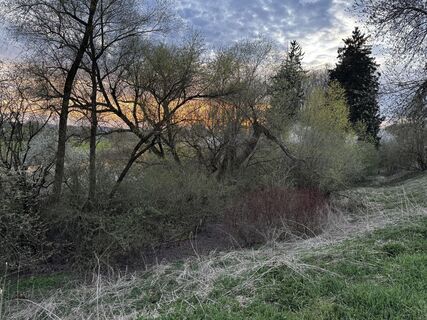 Fotografia z Schaali na trase