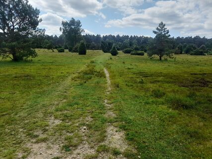 Fotografija s spletne strani Sven Behnke na poti