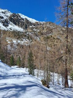 Photo de Magnus Moser le long du parcours