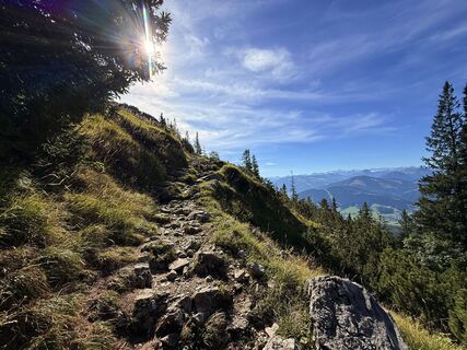 Foto von Natur_erleben_dg entlang der Tour