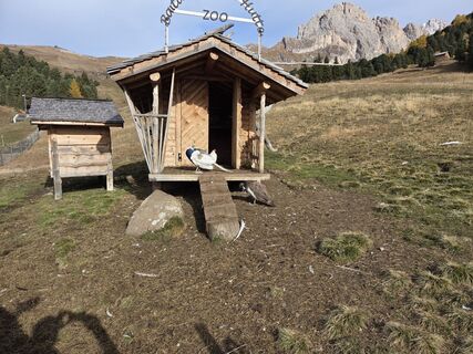 Foto von Michaela Köhler entlang der Tour