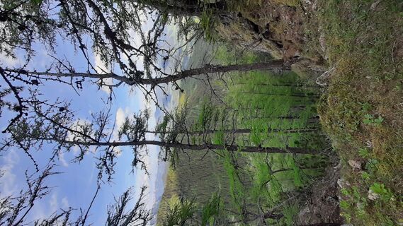 Fotografia z Aga M na trase