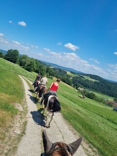 Reitregion Mühlviertler Kernland