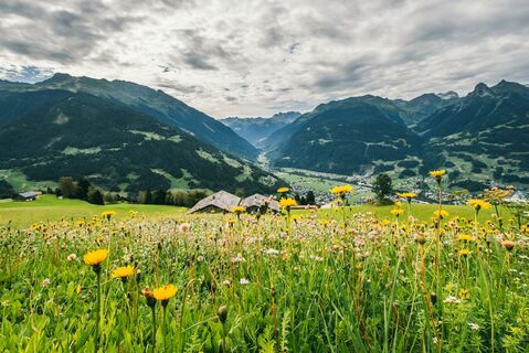 Blick ins Tal