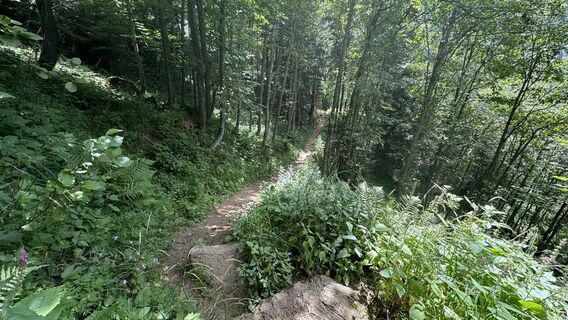 Foto von peter_oe entlang der Tour