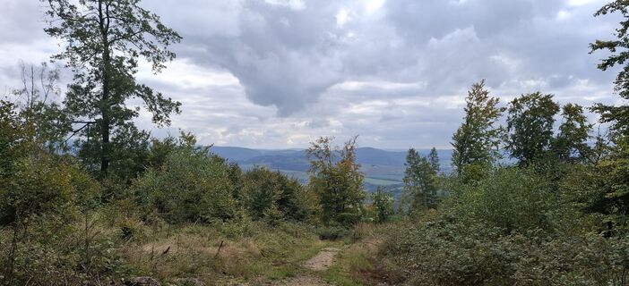 Foto von Karin-Wandert entlang der Tour