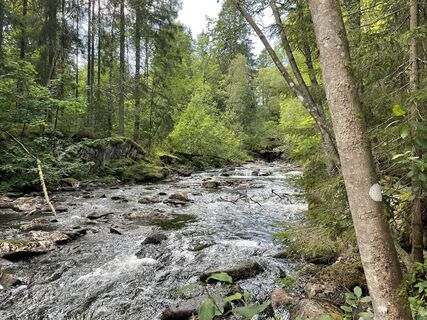 Fotó a Sebastian Keßler honlapról a túra során