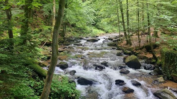 Foto von PaulMungo entlang der Tour