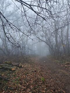 Foto von Katona Ferk Mariann entlang der Tour