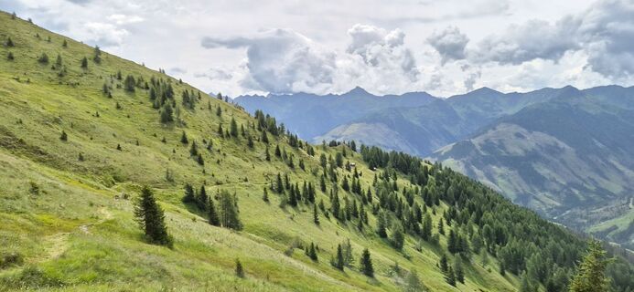 Fotografija s spletne strani Julia Fruhmann na poti