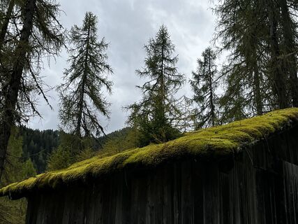 Foto von Mwohlgeschaffen entlang der Tour