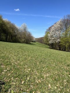 Zdjęcie z Philipp Hillebrand wzdłuż trasy