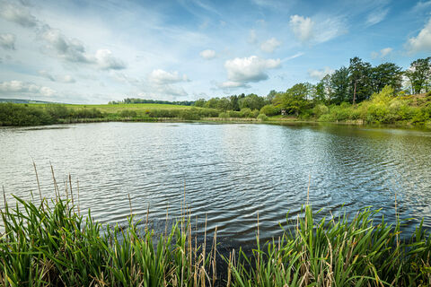 et-2019-371-vulcanpfad-eichholzmaar-eifel-tourismus-gmbh-dominik-ketz_1