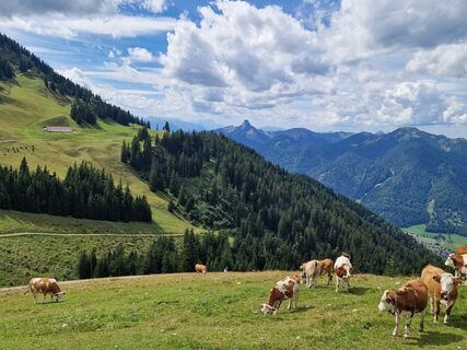 Photo de fbarth le long du parcours