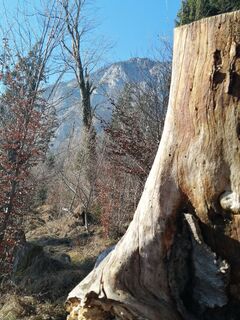 Foto von Brigitte Rottmann entlang der Tour