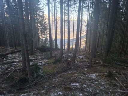 Foto fra Albert Angerer63 underveis på turen