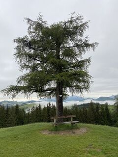 Foto von Agnes Dohoczki entlang der Tour