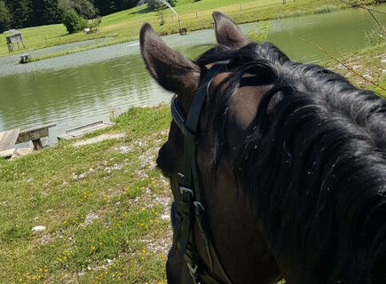 Reiten im Ausseerland