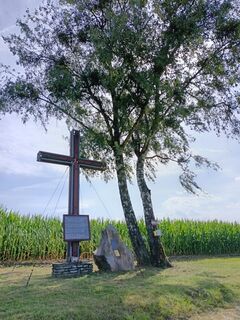 Photo de Elisabeth Sieberer le long du parcours