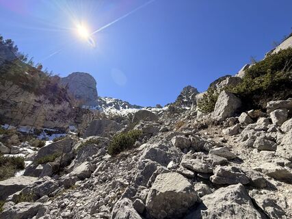 Foto von Natur_erleben_dg entlang der Tour