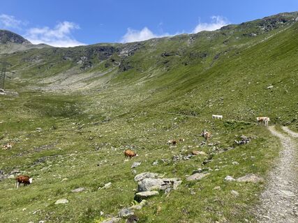 Fotografija s spletne strani Eric Grochau na poti