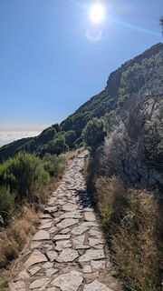 Photo de Sebbe le long du parcours