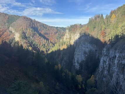 Fotografia z Firma Pool1 Hackl Roman na trase