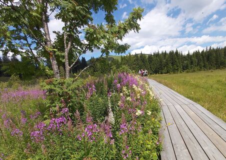 Moorlehrpfad Teichalm, Naturpark Almenland in der Oststeiermark