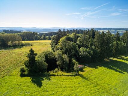 Dichte Waldflächen über den Hochschwarzwald