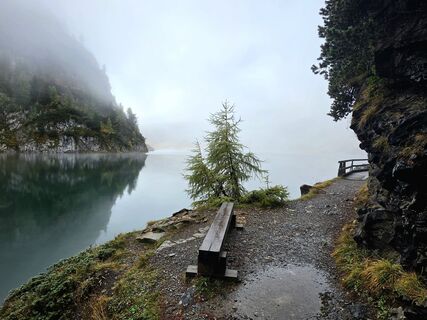 Photo de MRDL le long du parcours