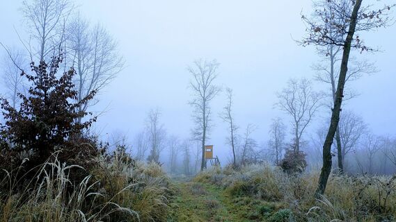 Fotografia z Tunkelchen na trase