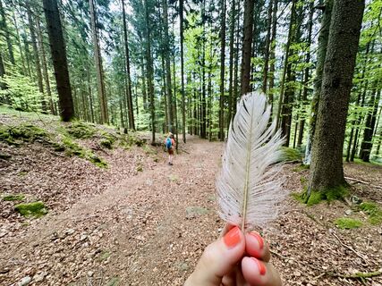 Photo from Dani Geiger / Natur_erleben_dg along the tour