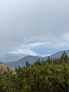 Foto von Babs Holz entlang der Tour