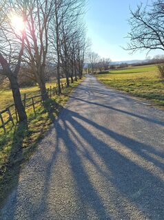 Fotografia z Andrea Roschek na trase