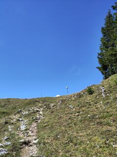 Photo de King Kong le long du parcours