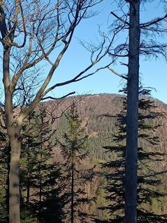 Foto de Bergpirat a lo largo del recorrido