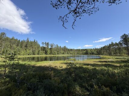 Fotografie z Jako Koel na trase