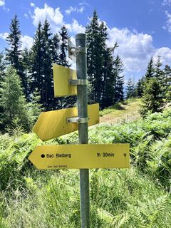 Foto von Rita Szloboda entlang der Tour