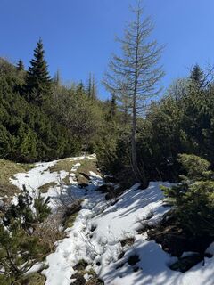 Foto von Jure Smej entlang der Tour