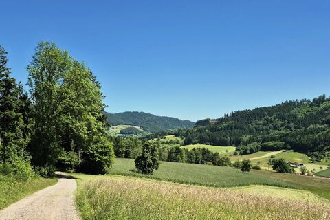 Vom Kreuzbühl Richtung Schirrmaierhütte