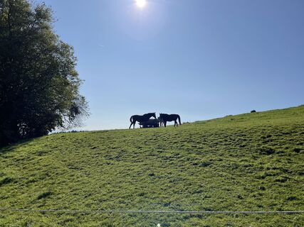 Foto fra Ute Fingerle undervejs på turen