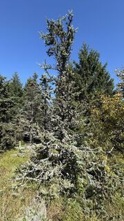 Fotografia z Richard Vlcek na trase