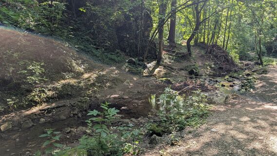 Фото с сайта Jele Hannes во время экскурсии