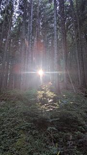 Fotografie z Thomas Heß na trase