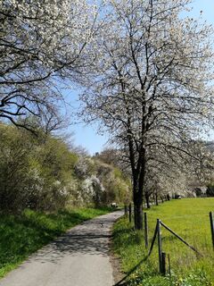 ahr-radweg-zwischen-duempelfeld-und-insul