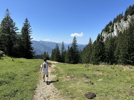 Zdjęcie z justasimpleguy wzdłuż trasy