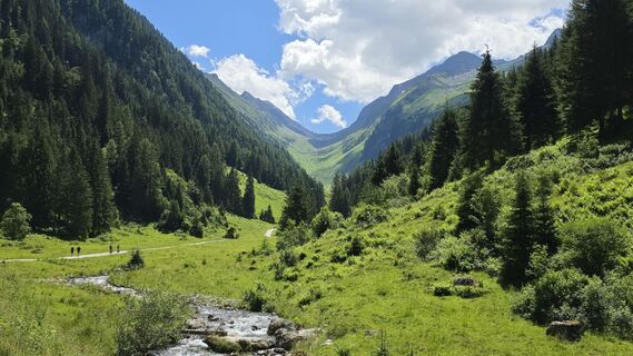 Fotografija s spletne strani Gerrit van der Linde na poti