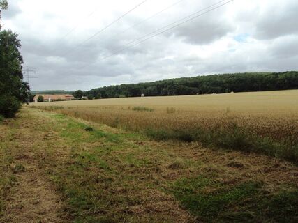 Salzgitter Höhenzug, Wanderweg 25 Feldweg bei Altenhagen